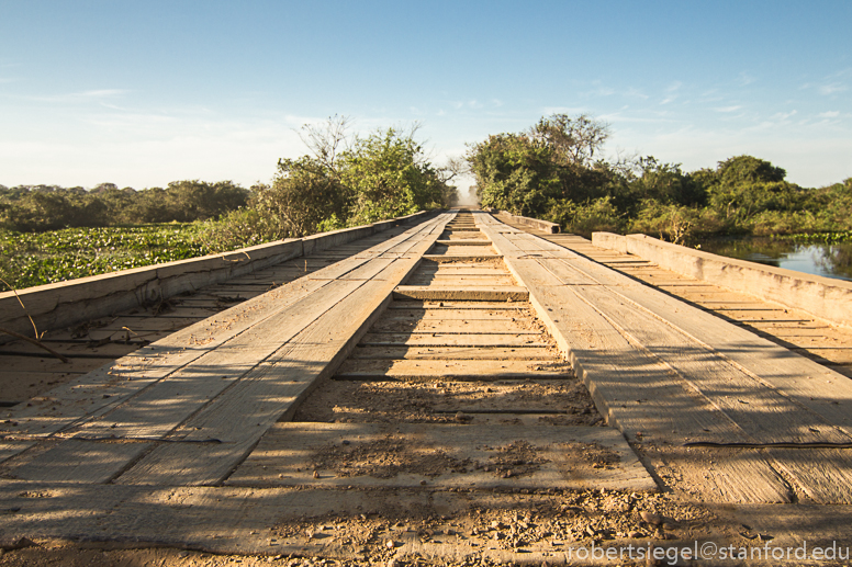 the bridge by Jaguar Lodge